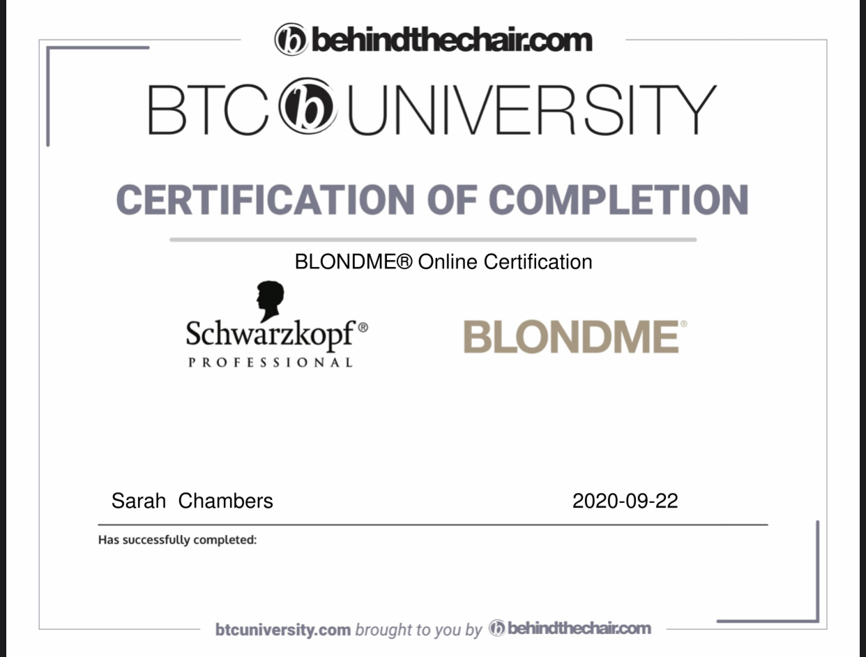 BlondeMe Certified Charlotte NC, Blonde Specialist Charlotte NC, Color Correction Specialist Charlotte NC, Top colorist in Charlotte NC